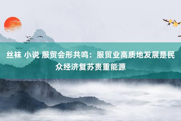 丝袜 小说 服贸会形共鸣：服贸业高质地发展是民众经济复苏贵重能源