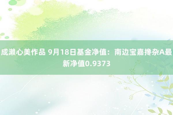 成濑心美作品 9月18日基金净值：南边宝嘉搀杂A最新净值0.9373