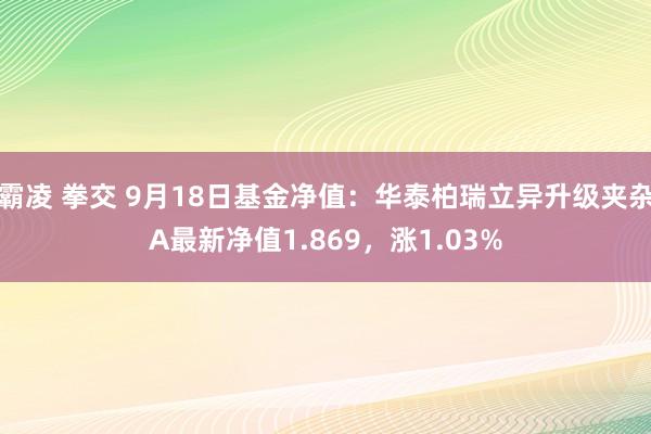 霸凌 拳交 9月18日基金净值：华泰柏瑞立异升级夹杂A最新净值1.869，涨1.03%