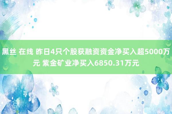 黑丝 在线 昨日4只个股获融资资金净买入超5000万元 紫金矿业净买入6850.31万元