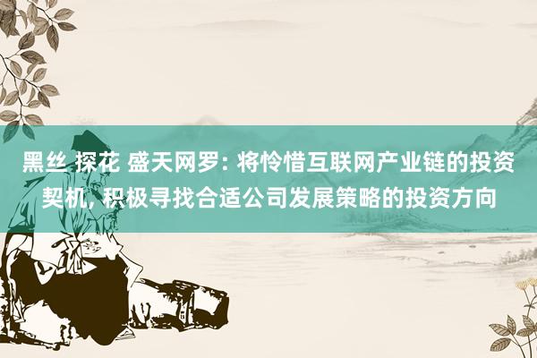 黑丝 探花 盛天网罗: 将怜惜互联网产业链的投资契机， 积极寻找合适公司发展策略的投资方向