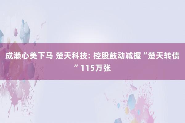 成濑心美下马 楚天科技: 控股鼓动减握“楚天转债”115万张