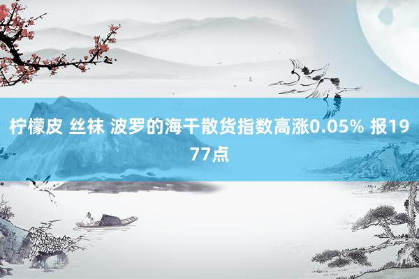 柠檬皮 丝袜 波罗的海干散货指数高涨0.05% 报1977点