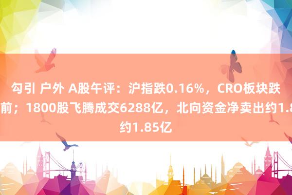 勾引 户外 A股午评：沪指跌0.16%，CRO板块跌幅居前；1800股飞腾成交6288亿，北向资金净卖出约1.85亿