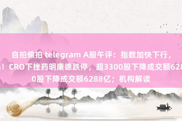 自拍偷拍 telegram A股午评：指数加快下行，创业板跌1.48%！CRO下挫药明康德跌停，超3300股下降成交额6288亿；机构解读