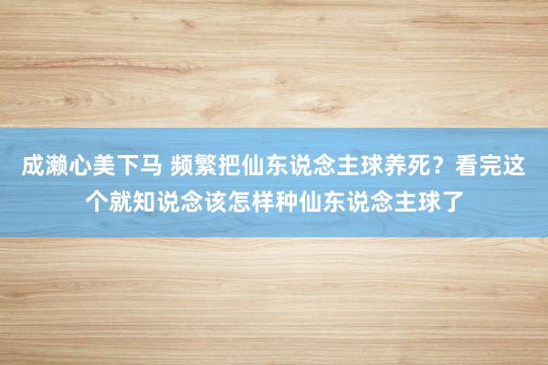 成濑心美下马 频繁把仙东说念主球养死？看完这个就知说念该怎样种仙东说念主球了