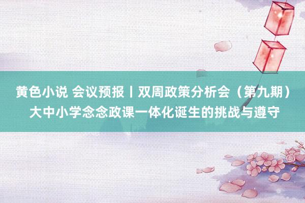 黄色小说 会议预报丨双周政策分析会（第九期） 大中小学念念政课一体化诞生的挑战与遵守