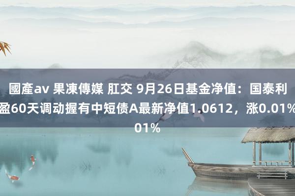 國產av 果凍傳媒 肛交 9月26日基金净值：国泰利盈60天调动握有中短债A最新净值1.0612，涨0.01%