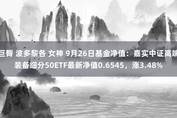 巨臀 波多黎各 女神 9月26日基金净值：嘉实中证高端装备细分50ETF最新净值0.6545，涨3.48%