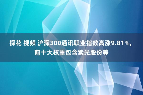 探花 视频 沪深300通讯职业指数高涨9.81%， 前十大权重包含紫光股份等