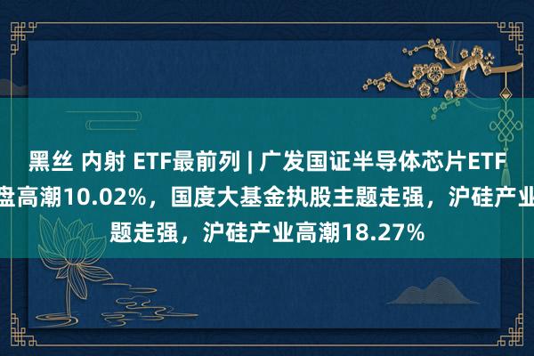 黑丝 内射 ETF最前列 | 广发国证半导体芯片ETF(159801)早盘高潮10.02%，国度大基金执股主题走强，沪硅产业高潮18.27%