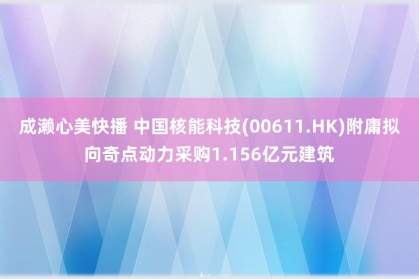 成濑心美快播 中国核能科技(00611.HK)附庸拟向奇点动力采购1.156亿元建筑