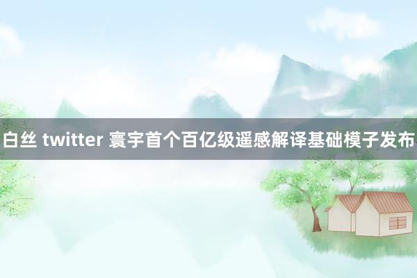 白丝 twitter 寰宇首个百亿级遥感解译基础模子发布