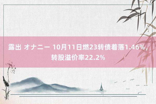 露出 オナニー 10月11日燃23转债着落1.46%，转股溢价率22.2%