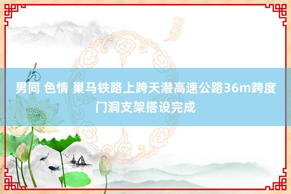 男同 色情 巢马铁路上跨天潜高速公路36m跨度门洞支架搭设完成