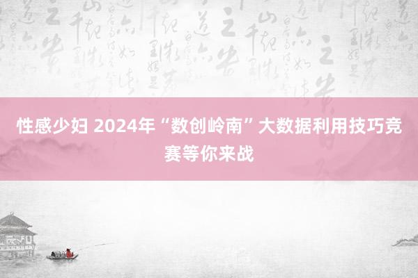 性感少妇 2024年“数创岭南”大数据利用技巧竞赛等你来战