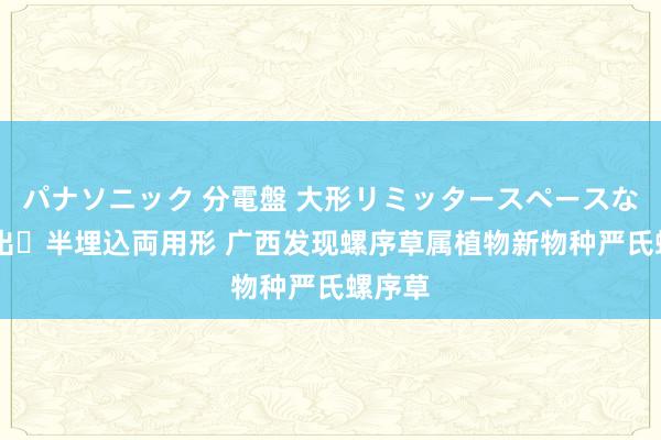 パナソニック 分電盤 大形リミッタースペースなし 露出・半埋込両用形 广西发现螺序草属植物新物种严氏螺序草