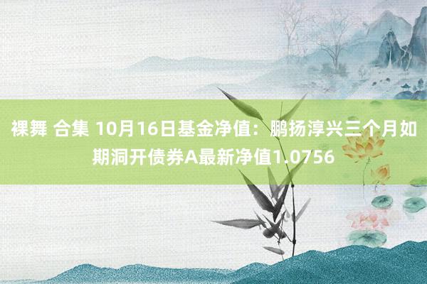 裸舞 合集 10月16日基金净值：鹏扬淳兴三个月如期洞开债券A最新净值1.0756