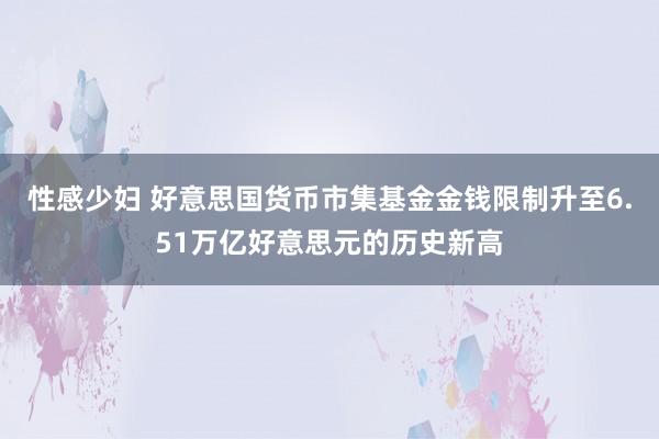 性感少妇 好意思国货币市集基金金钱限制升至6.51万亿好意思元的历史新高