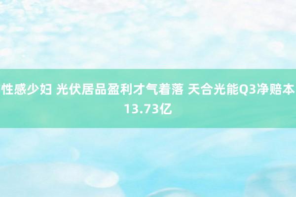 性感少妇 光伏居品盈利才气着落 天合光能Q3净赔本13.73亿