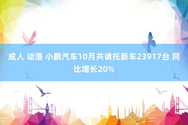 成人 动漫 小鹏汽车10月共请托新车23917台 同比增长20%