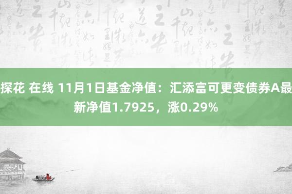 探花 在线 11月1日基金净值：汇添富可更变债券A最新净值1.7925，涨0.29%