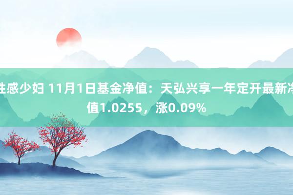 性感少妇 11月1日基金净值：天弘兴享一年定开最新净值1.0255，涨0.09%