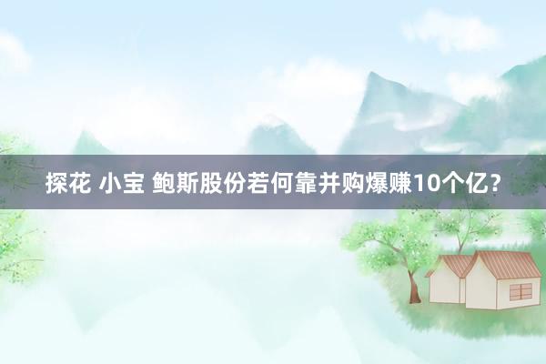 探花 小宝 鲍斯股份若何靠并购爆赚10个亿？