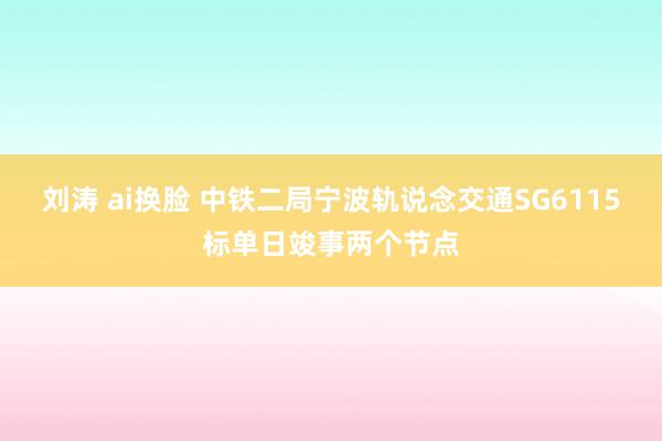 刘涛 ai换脸 中铁二局宁波轨说念交通SG6115标单日竣事两个节点