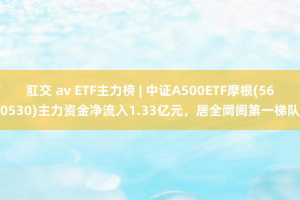 肛交 av ETF主力榜 | 中证A500ETF摩根(560530)主力资金净流入1.33亿元，居全阛阓第一梯队