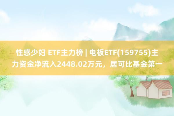 性感少妇 ETF主力榜 | 电板ETF(159755)主力资金净流入2448.02万元，居可比基金第一