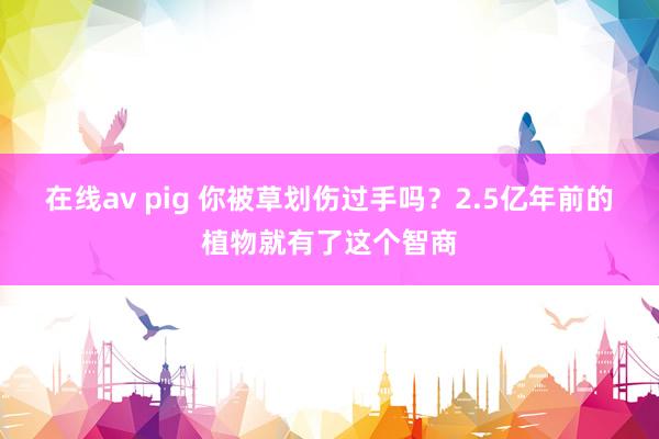 在线av pig 你被草划伤过手吗？2.5亿年前的植物就有了这个智商