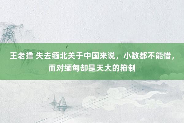 王老撸 失去缅北关于中国来说，小数都不能惜，而对缅甸却是天大的箝制