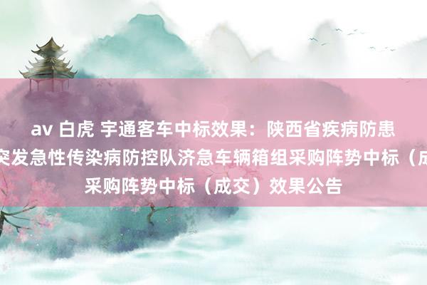 av 白虎 宇通客车中标效果：陕西省疾病防患适度中心国度突发急性传染病防控队济急车辆箱组采购阵势中标（成交）效果公告