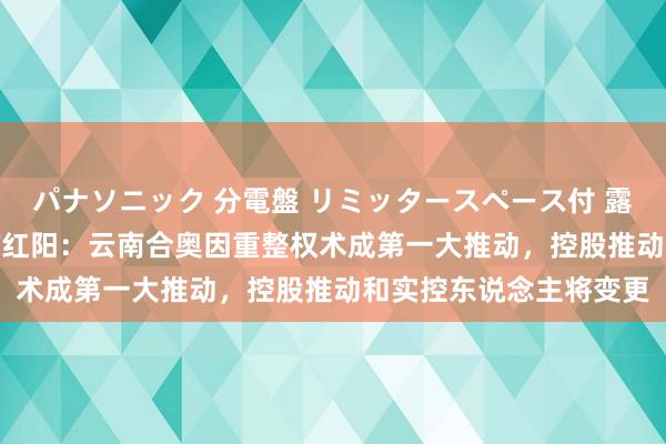 パナソニック 分電盤 リミッタースペース付 露出・半埋込両用形 *ST红阳：云南合奥因重整权术成第一大推动，控股推动和实控东说念主将变更