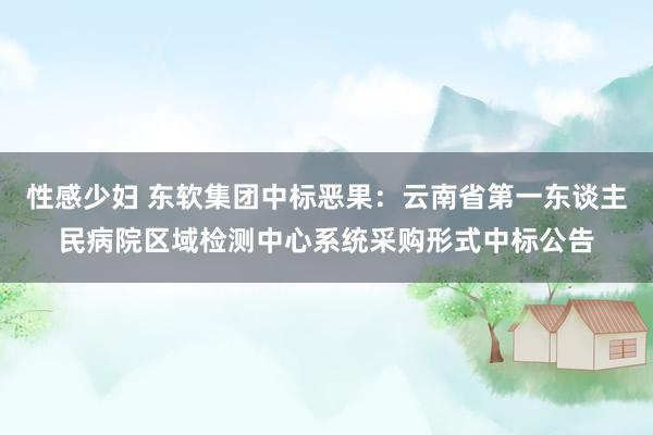 性感少妇 东软集团中标恶果：云南省第一东谈主民病院区域检测中心系统采购形式中标公告