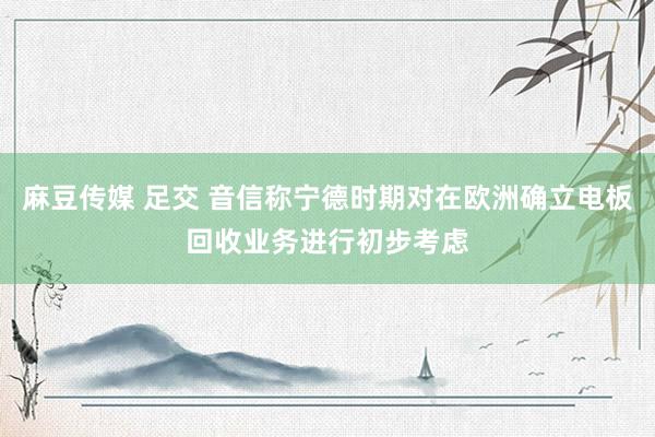 麻豆传媒 足交 音信称宁德时期对在欧洲确立电板回收业务进行初步考虑