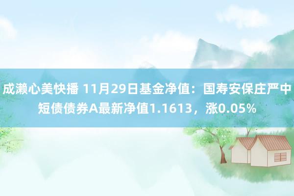 成濑心美快播 11月29日基金净值：国寿安保庄严中短债债券A最新净值1.1613，涨0.05%