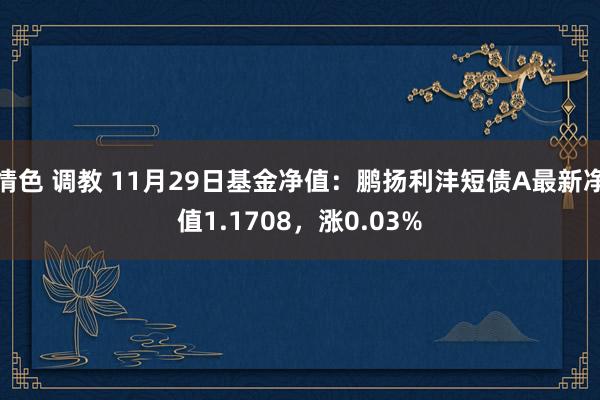 情色 调教 11月29日基金净值：鹏扬利沣短债A最新净值1.1708，涨0.03%