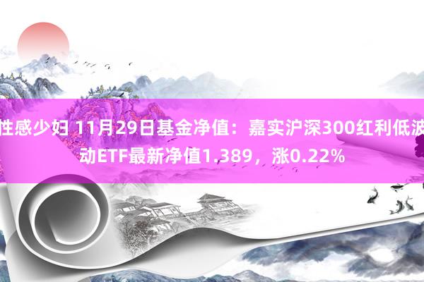 性感少妇 11月29日基金净值：嘉实沪深300红利低波动ETF最新净值1.389，涨0.22%