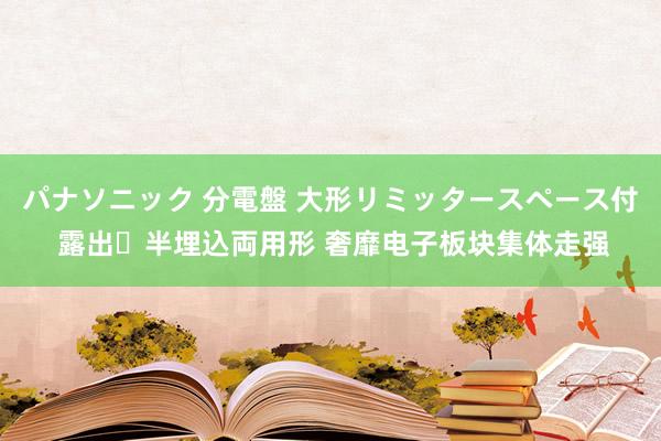 パナソニック 分電盤 大形リミッタースペース付 露出・半埋込両用形 奢靡电子板块集体走强