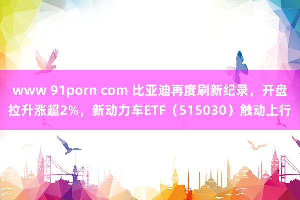 www 91porn com 比亚迪再度刷新纪录，开盘拉升涨超2%，新动力车ETF（515030）触动上行