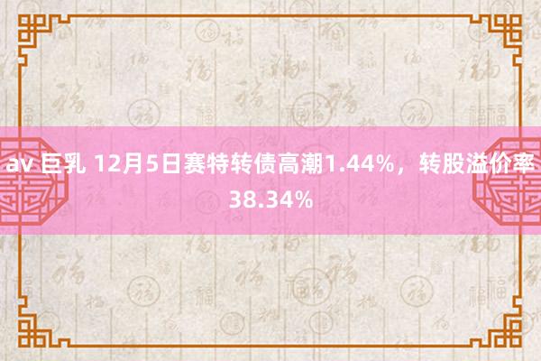 av 巨乳 12月5日赛特转债高潮1.44%，转股溢价率38.34%