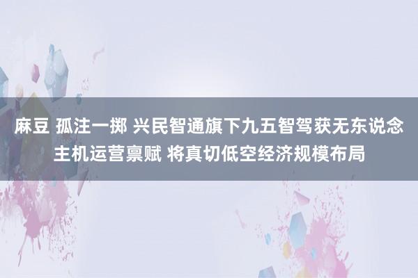 麻豆 孤注一掷 兴民智通旗下九五智驾获无东说念主机运营禀赋 将真切低空经济规模布局