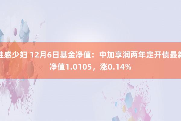 性感少妇 12月6日基金净值：中加享润两年定开债最新净值1.0105，涨0.14%