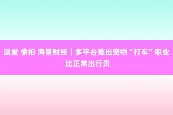 澡堂 偷拍 海量财经｜多平台推出宠物“打车”职业 比正常出行贵