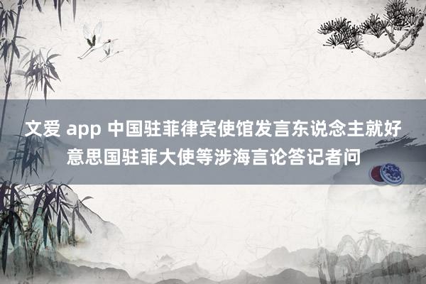 文爱 app 中国驻菲律宾使馆发言东说念主就好意思国驻菲大使等涉海言论答记者问