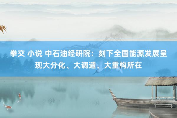 拳交 小说 中石油经研院：刻下全国能源发展呈现大分化、大调遣、大重构所在