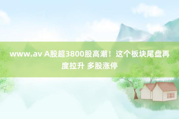 www.av A股超3800股高潮！这个板块尾盘再度拉升 多股涨停