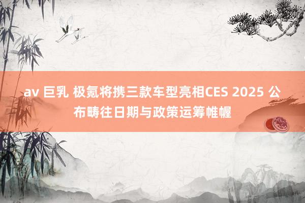 av 巨乳 极氪将携三款车型亮相CES 2025 公布畴往日期与政策运筹帷幄